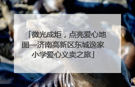 微光成炬，点亮爱心地图—济南高新区东城逸家小学爱心义卖之旅