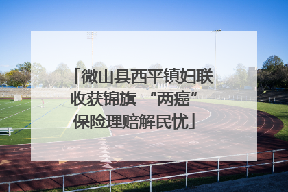 微山县西平镇妇联收获锦旗 “两癌”保险理赔解民忧