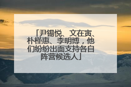 尹锡悦、文在寅、朴槿惠、李明博，他们纷纷出面支持各自阵营候选人