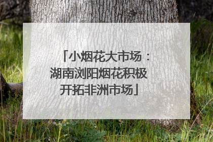 小烟花大市场：湖南浏阳烟花积极开拓非洲市场