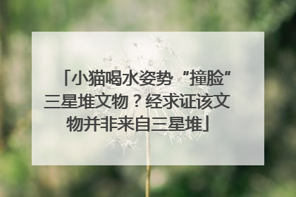 小猫喝水姿势“撞脸”三星堆文物？经求证该文物并非来自三星堆