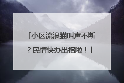 小区流浪猫叫声不断？民情快办出招啦！