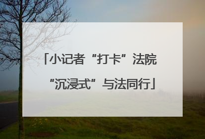 小记者“打卡”法院 “沉浸式”与法同行