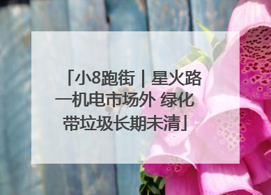 小8跑街｜星火路一机电市场外 绿化带垃圾长期未清
