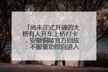尚未正式开通的大桥有人开车上桥打卡，安徽铜陵官方回应：不服管劝擅自进入，已采取措施
