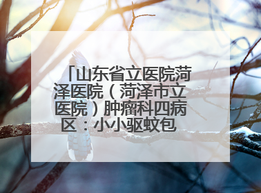 山东省立医院菏泽医院（菏泽市立医院）肿瘤科四病区：小小驱蚊包 暖暖医患情