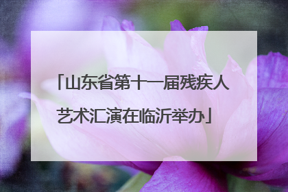 山东省第十一届残疾人艺术汇演在临沂举办