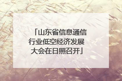 山东省信息通信行业低空经济发展大会在日照召开