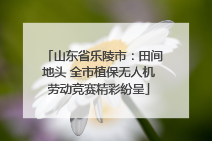 山东省乐陵市：田间地头 全市植保无人机劳动竞赛精彩纷呈