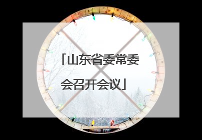 山东省委常委会召开会议