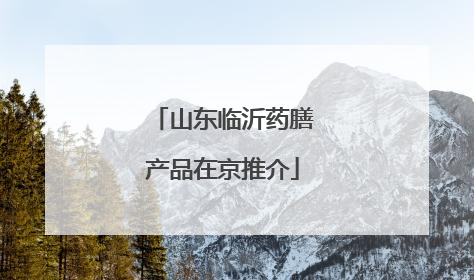 山东临沂药膳产品在京推介