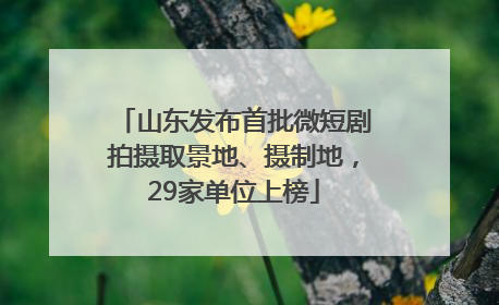 山东发布首批微短剧拍摄取景地、摄制地，29家单位上榜