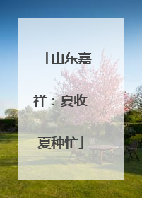 山东嘉祥：夏收夏种忙
