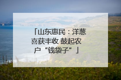 山东惠民：洋葱喜获丰收 鼓起农户“钱袋子”