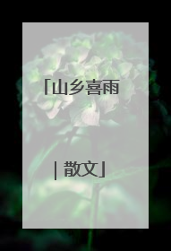 山乡喜雨｜散文