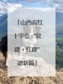 山西省红十字会“党建＋红建”谱新篇