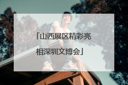 山西展区精彩亮相深圳文博会