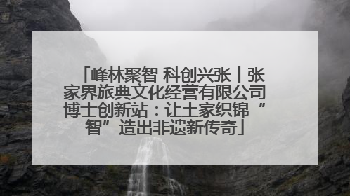 峰林聚智 科创兴张丨张家界旅典文化经营有限公司博士创新站：让土家织锦“智”造出非遗新传奇