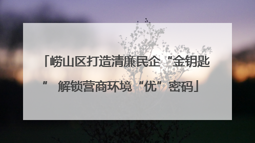 崂山区打造清廉民企“金钥匙” 解锁营商环境“优”密码