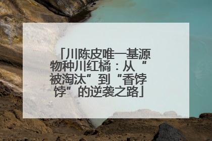 川陈皮唯一基源物种川红橘：从“被淘汰”到“香饽饽”的逆袭之路
