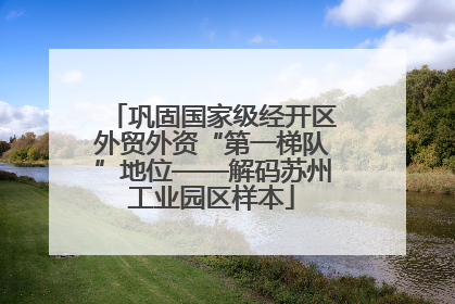 巩固国家级经开区外贸外资“第一梯队”地位——解码苏州工业园区样本