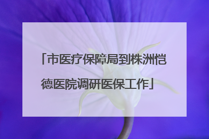 市医疗保障局到株洲恺德医院调研医保工作