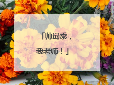 帅蜀黍，我老师！