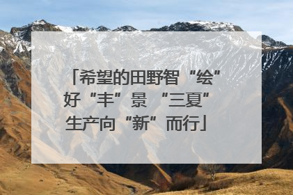 希望的田野智“绘”好“丰”景 “三夏”生产向“新”而行