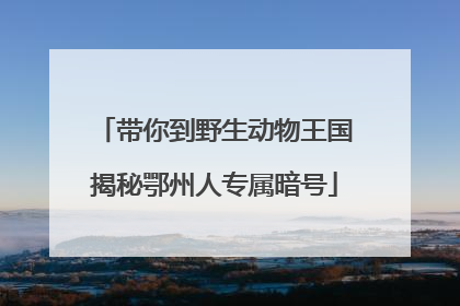 带你到野生动物王国揭秘鄂州人专属暗号
