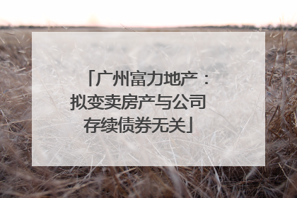 广州富力地产：拟变卖房产与公司存续债券无关