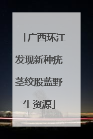 广西环江发现新种疣茎绞股蓝野生资源