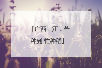 广西三江：芒种到 忙种稻