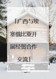广西与埃塞俄比亚开展经贸合作交流