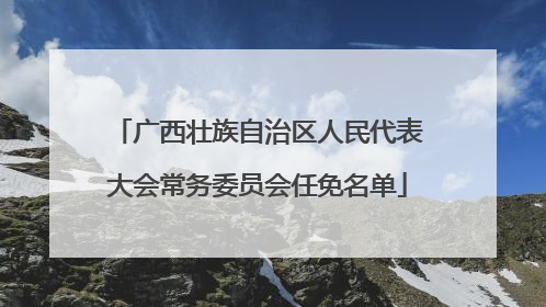 广西壮族自治区人民代表大会常务委员会任免名单