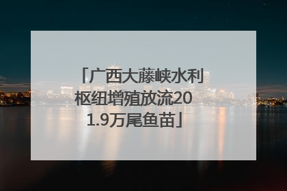 广西大藤峡水利枢纽增殖放流201.9万尾鱼苗
