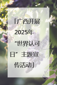 广西开展2025年“世界认可日”主题宣传活动