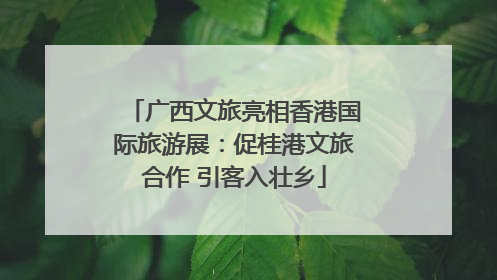 广西文旅亮相香港国际旅游展：促桂港文旅合作 引客入壮乡