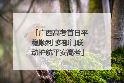 广西高考首日平稳顺利 多部门联动护航平安高考