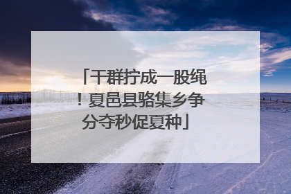 干群拧成一股绳！夏邑县骆集乡争分夺秒促夏种