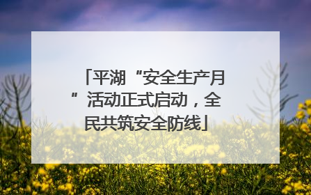 平湖“安全生产月”活动正式启动，全民共筑安全防线
