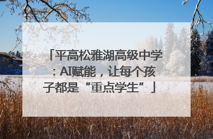 平高松雅湖高级中学：AI赋能，让每个孩子都是“重点学生”