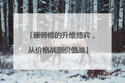 康师傅的升维博弈，从价格战到价值战