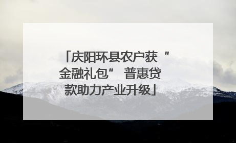庆阳环县农户获“金融礼包” 普惠贷款助力产业升级