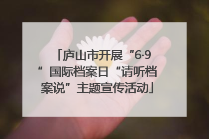 庐山市开展“6·9”国际档案日“请听档案说”主题宣传活动