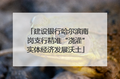 建设银行哈尔滨南岗支行精准“浇灌”实体经济发展沃土