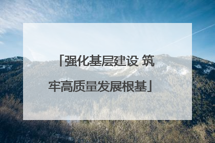 强化基层建设 筑牢高质量发展根基