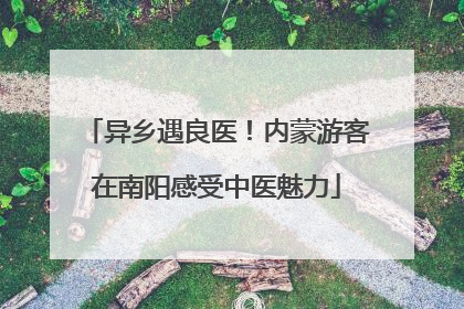 异乡遇良医！内蒙游客在南阳感受中医魅力