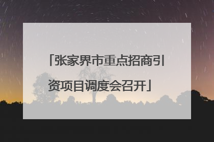 张家界市重点招商引资项目调度会召开