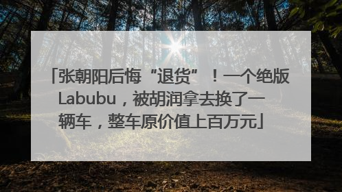 张朝阳后悔“退货”！一个绝版Labubu，被胡润拿去换了一辆车，整车原价值上百万元