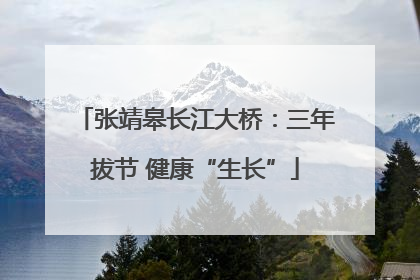 张靖皋长江大桥：三年拔节 健康“生长”